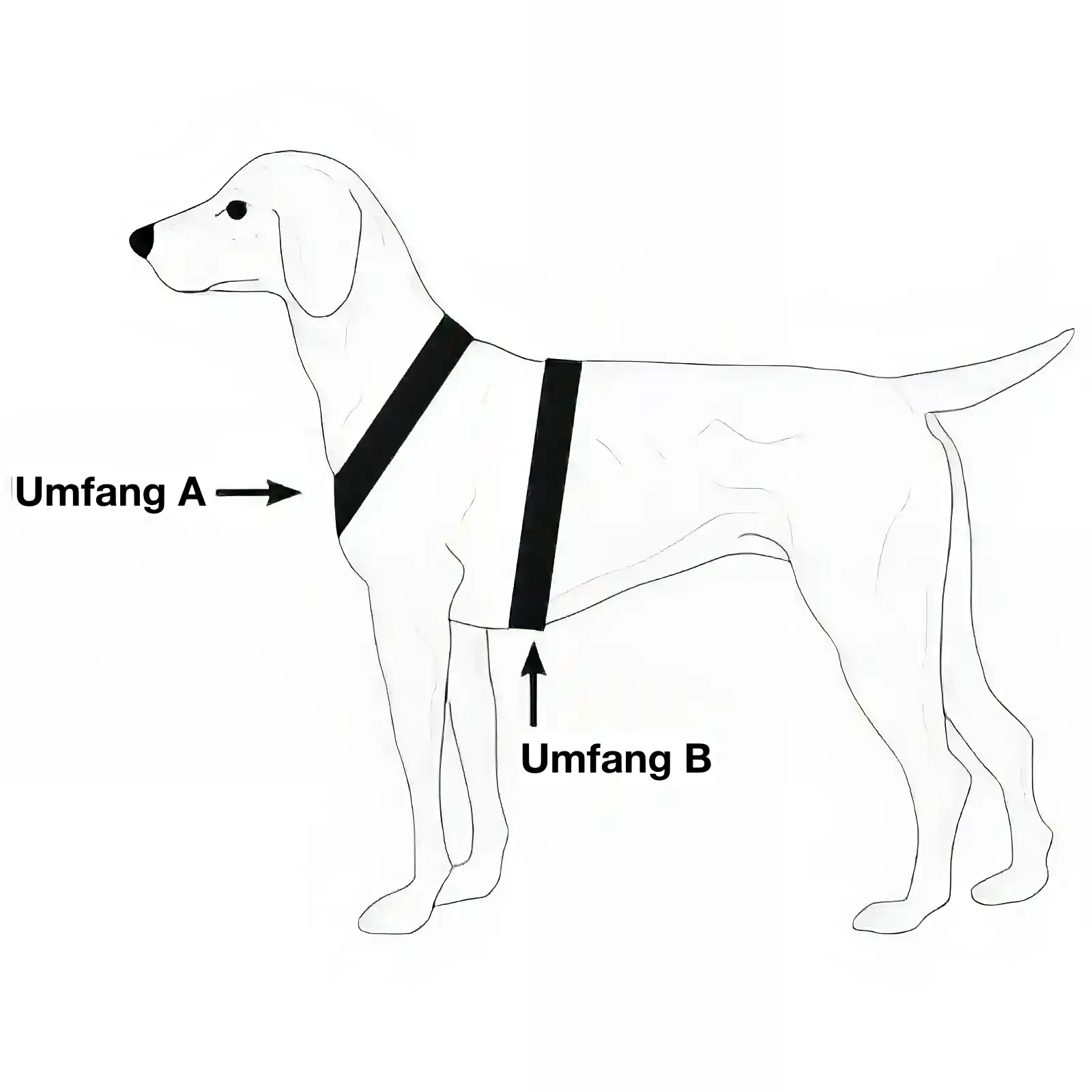 Niggeloh Follow Trail Hundegeschirr Größenermittlung