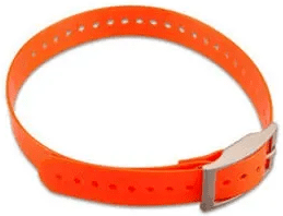 Hundehalsband Nylon orange 2,5 cm