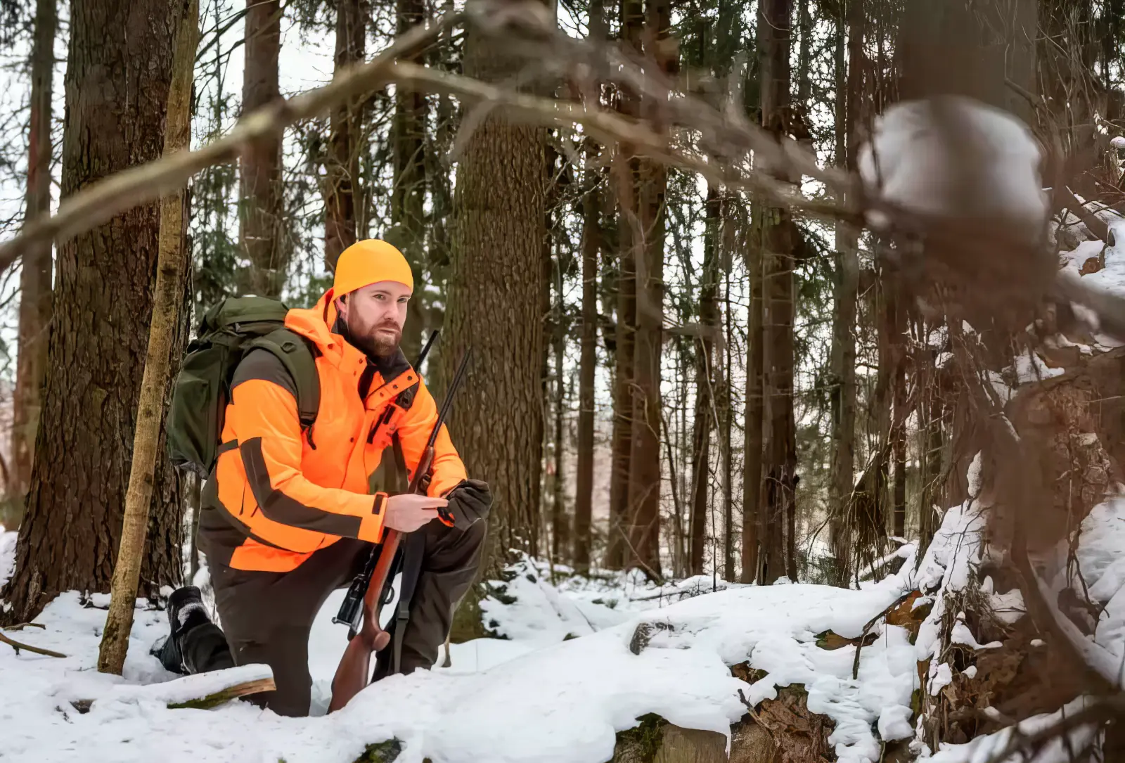 Tikka T3x Forest .338 Fed Jagd
