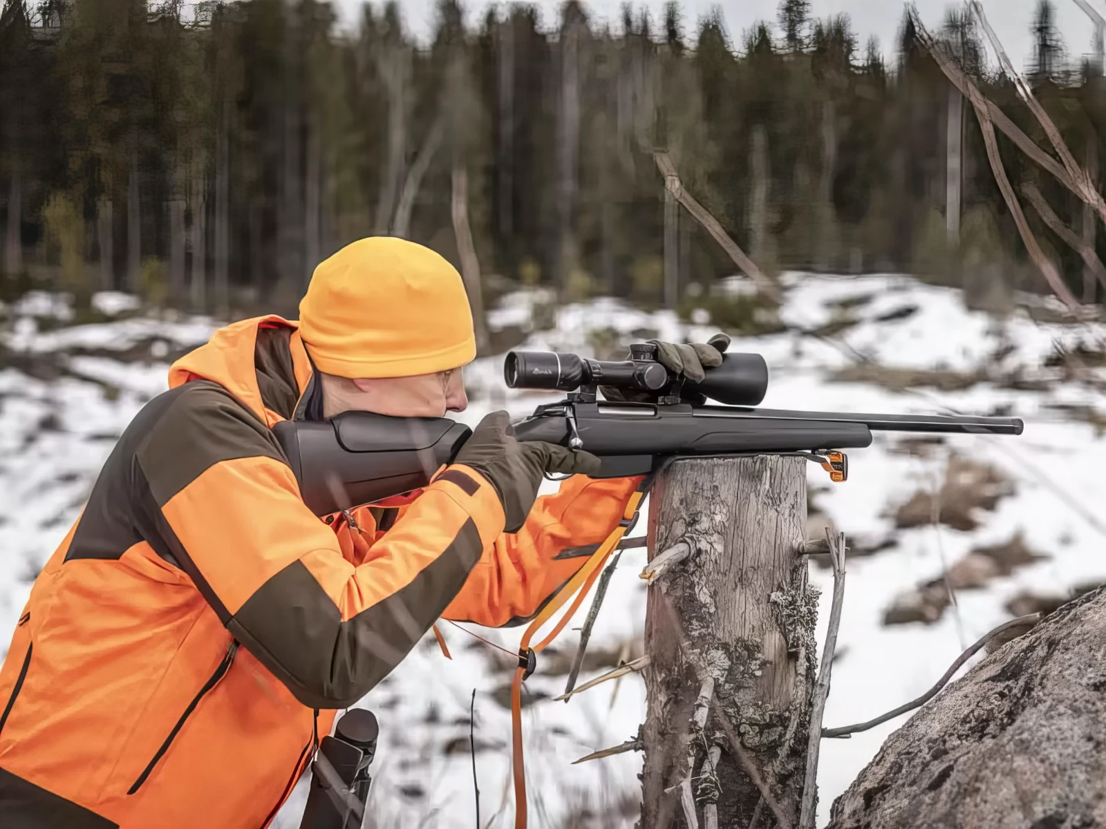 Tikka T3x Varmint .223 Rem im Anschlag