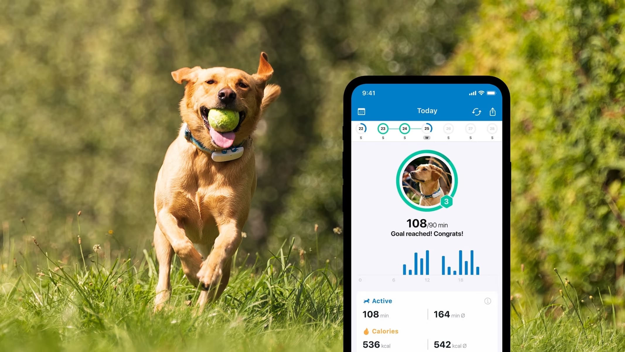 GPS Tracker für Hunde weiss