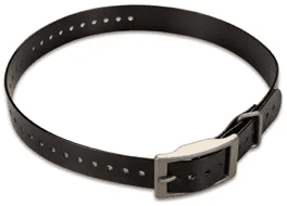 Hundehalsband Nylon schwarz 2,5 cm