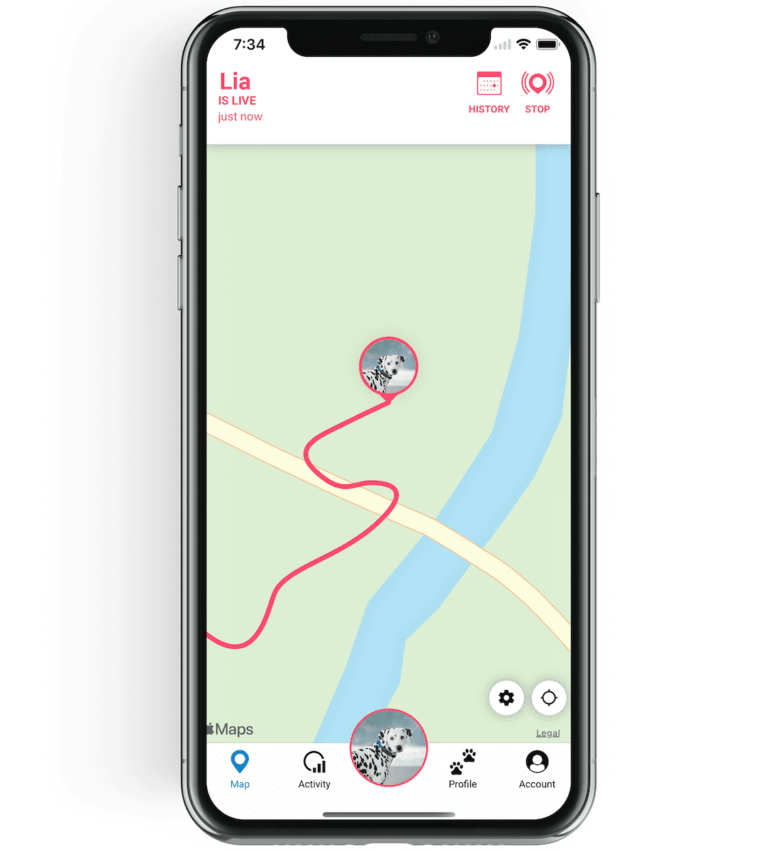 GPS Tracker für Hunde weiss