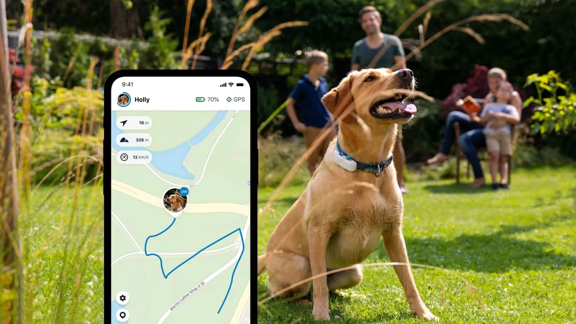 GPS Tracker für Hunde weiss