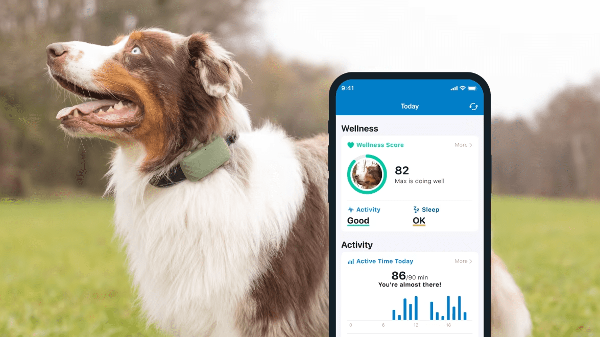 GPS Tracker XL für Hunde