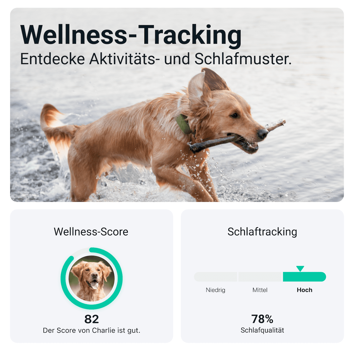 GPS Tracker XL für Hunde