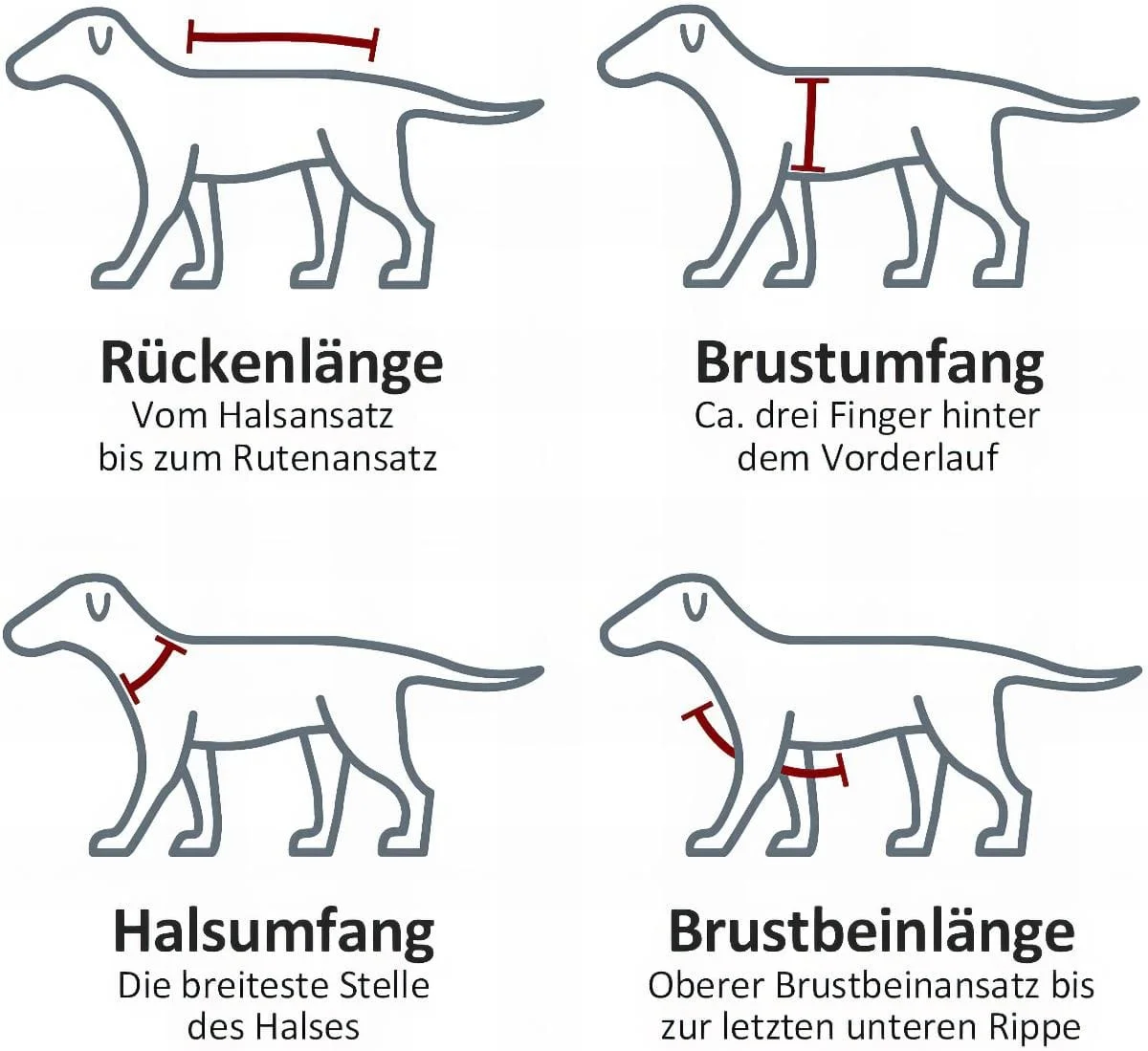 Grossenbacher V Nachsuche Geschirr Größe ermitteln