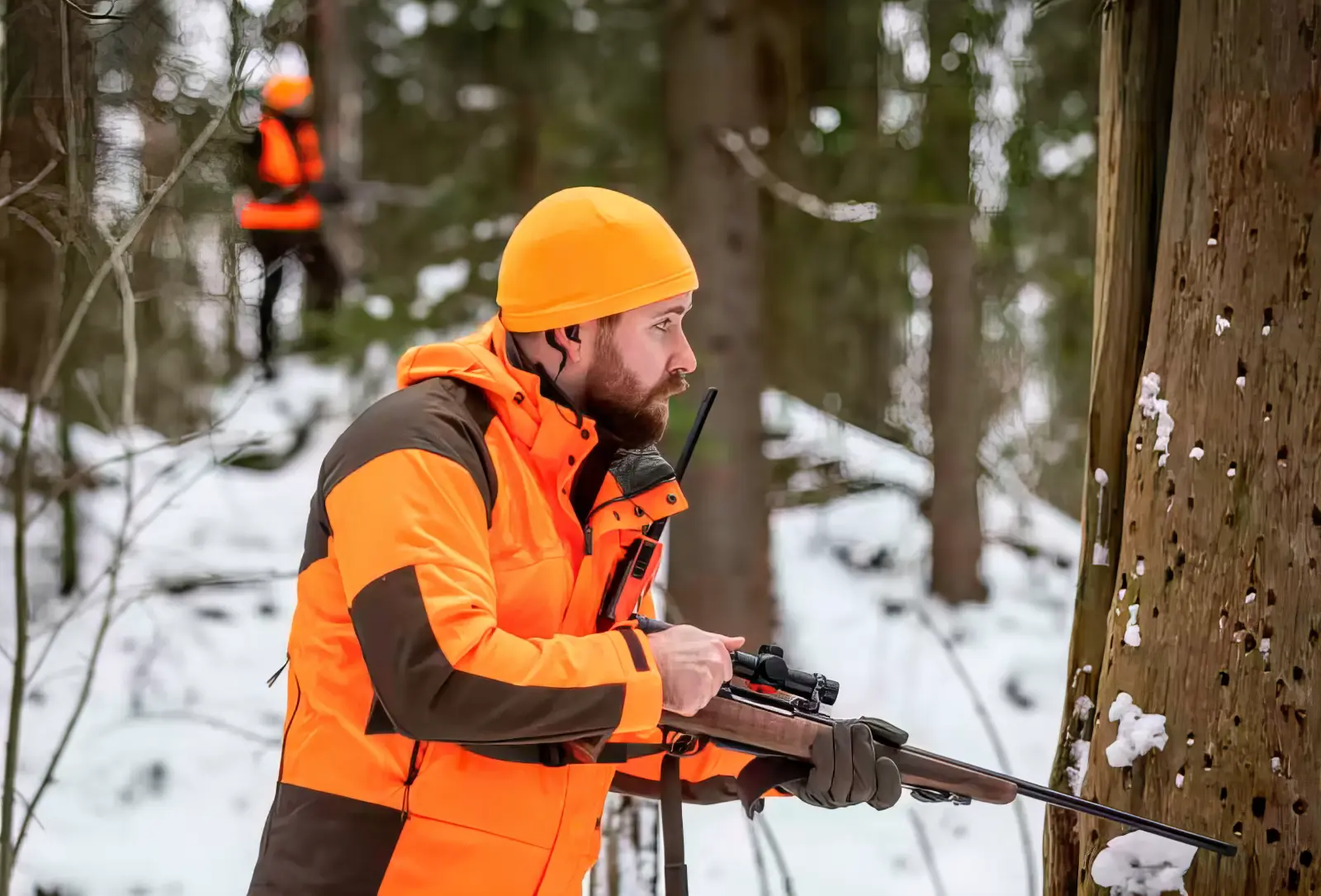 Tikka T3x Forest .338 Fed Gesellschaftsjagd