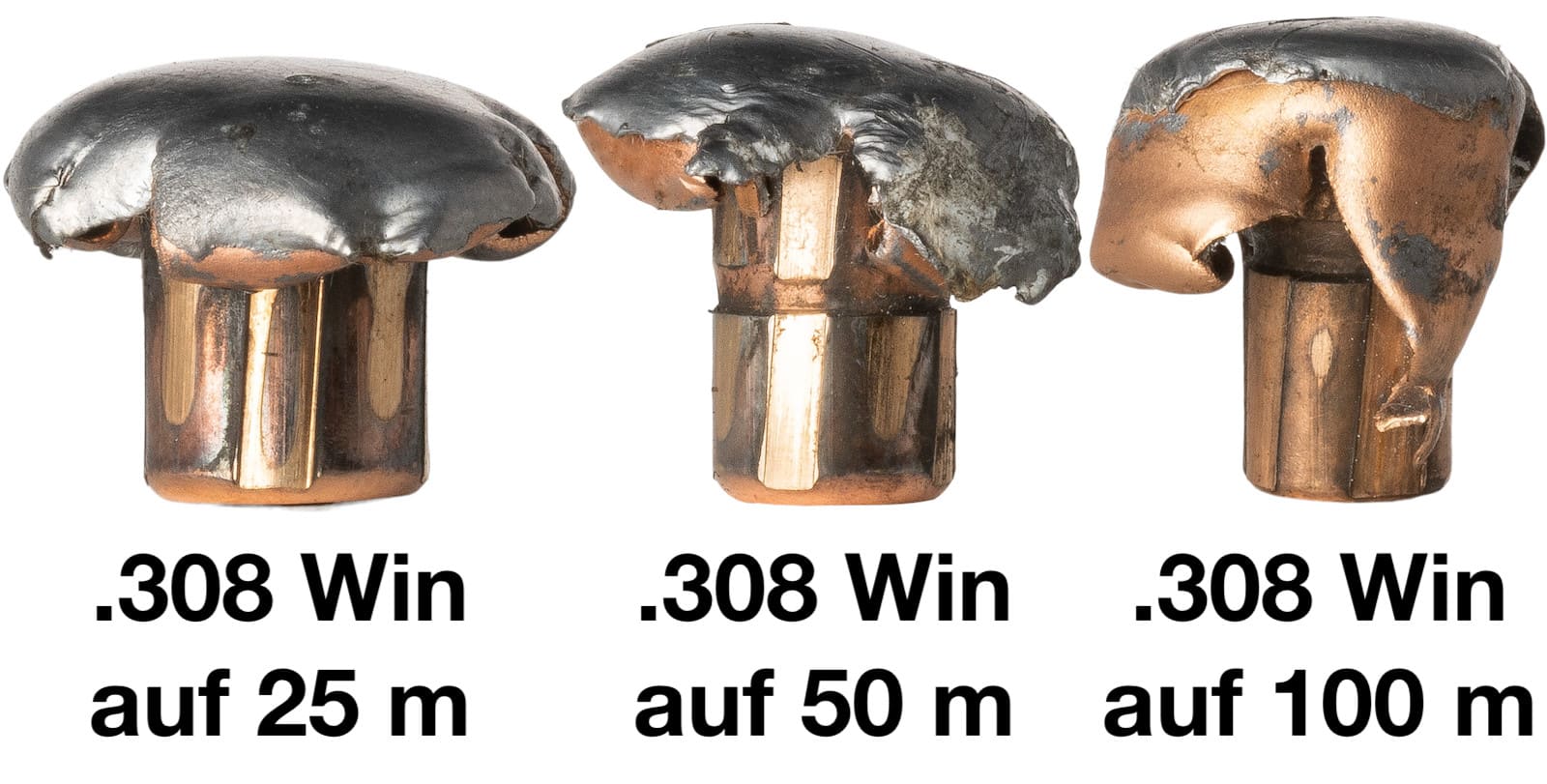 Vulkan .270 Winchester 10,1 g / 156 grs