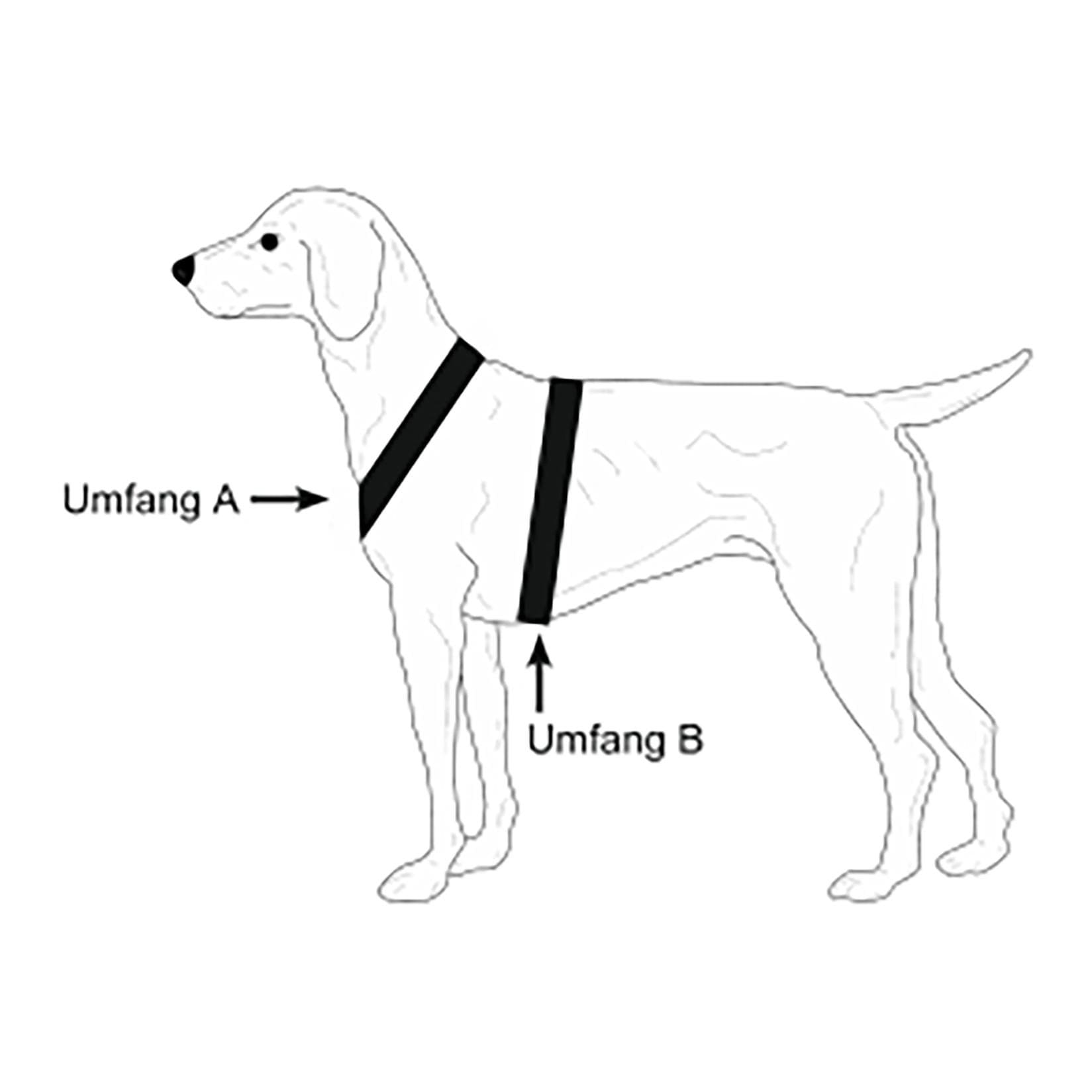 Hundegeschirr FOLLOW oliv/orange XL 2 Steckverschlüsse