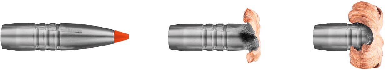 RWS HIT Short Rifle 9,3x62 16,2g Geschoss Deformation
