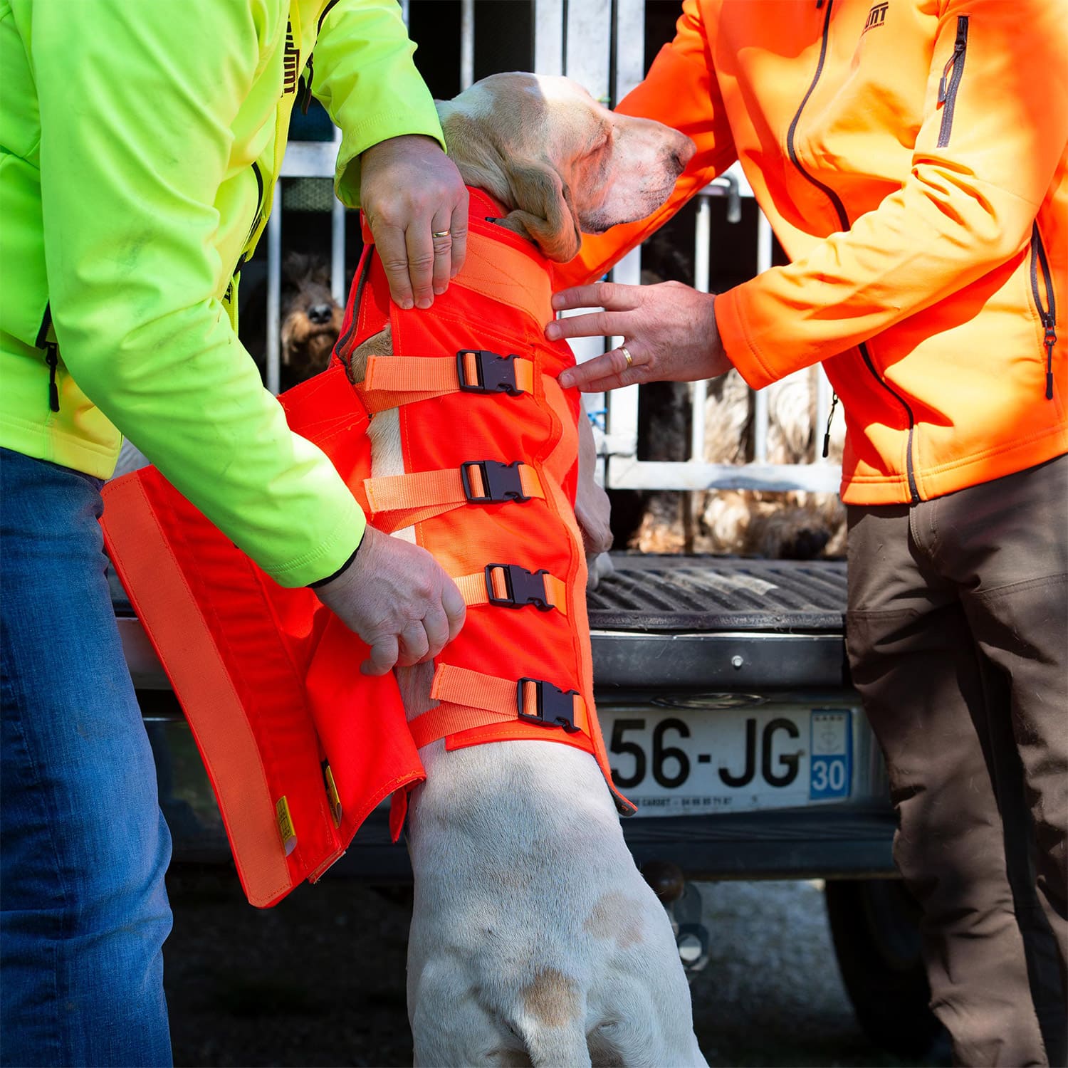 Canihunt Protect Dog Armor V3 T60 anziehen