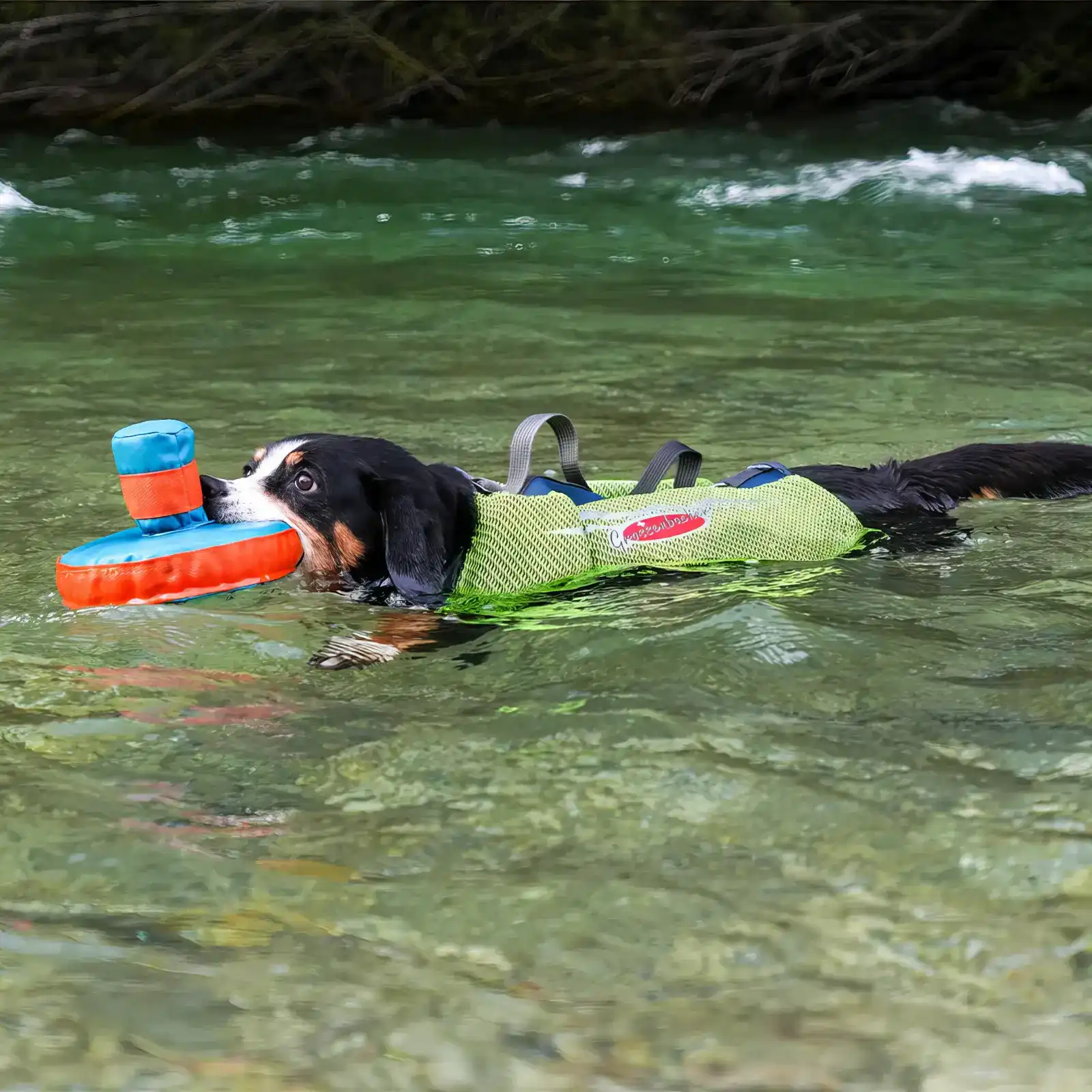 Grossenbacher Schwimmweste gelb XS beim Schwimmen