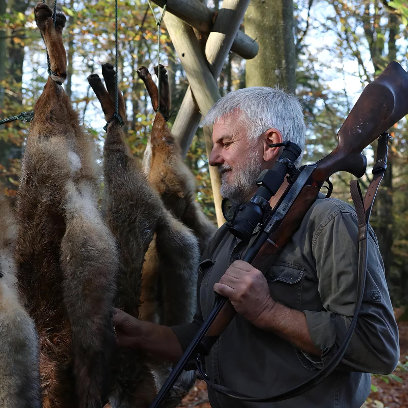 Hunter H34L 2 MOA Leuchtpunktvisier