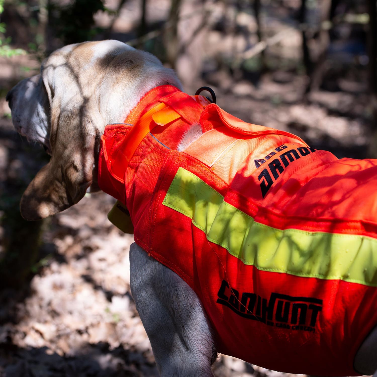 Canihunt Protect Dog Armor V3 T60 Sauenschutzweste