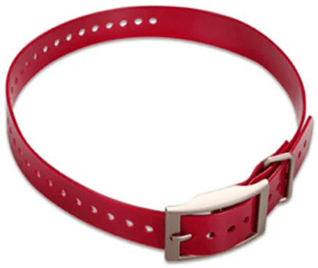 Hundehalsband Nylon rot 2,5 cm