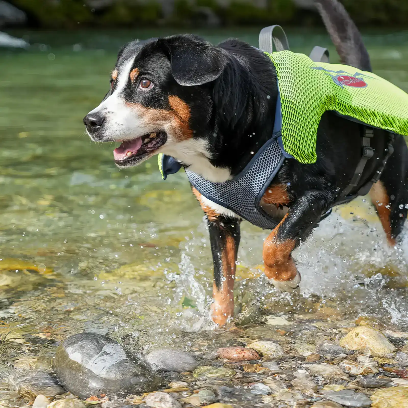 Grossenbacher Schwimmweste gelb XS in Fluss