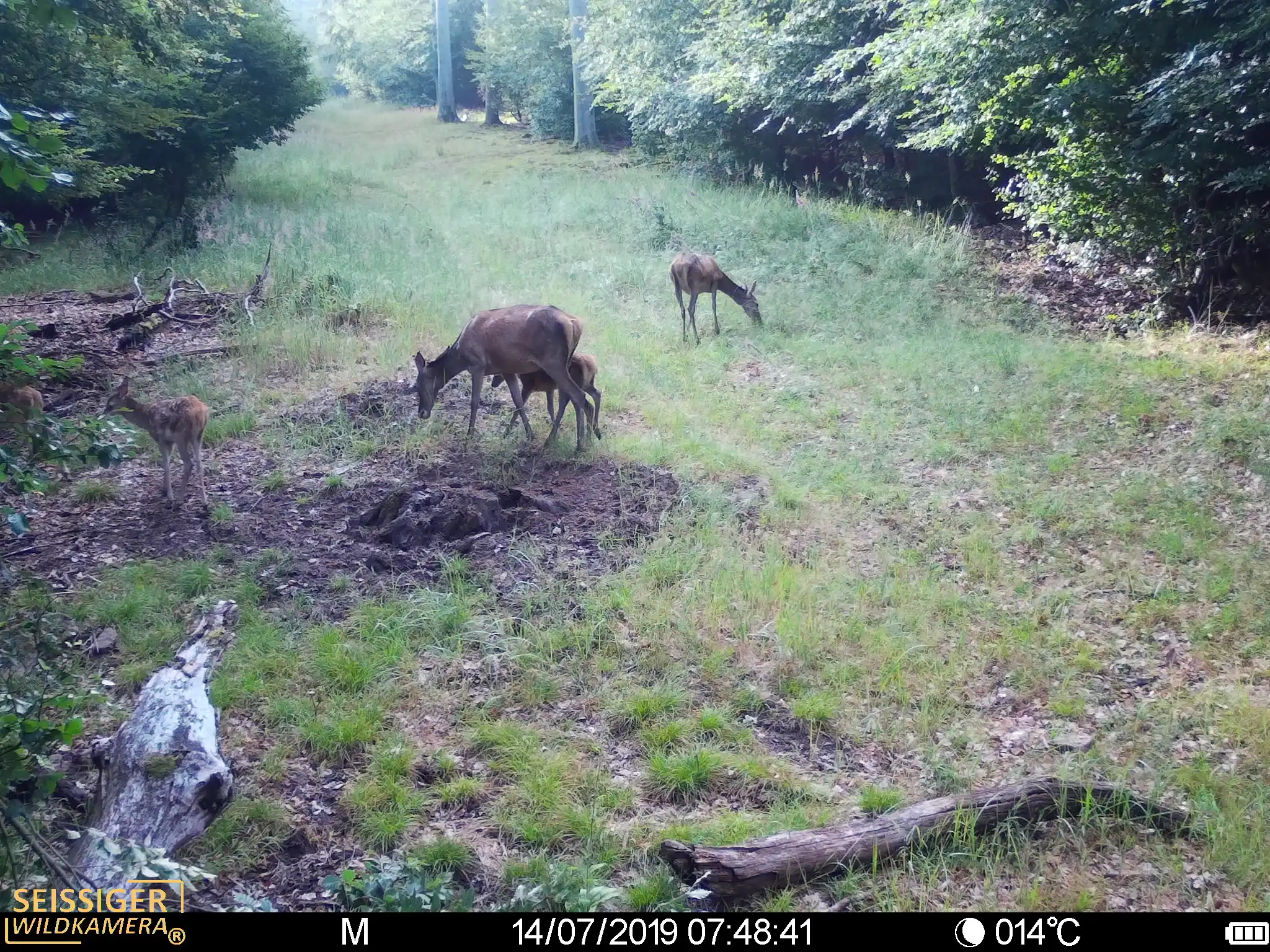 Seissiger Special Cam LTE Supersim Beispielbild Tag