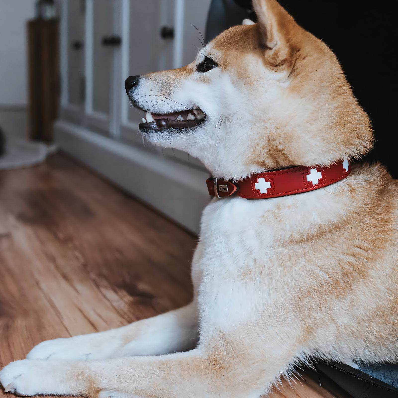 Halsband Swiss Leder rot/schwarz Größe 32