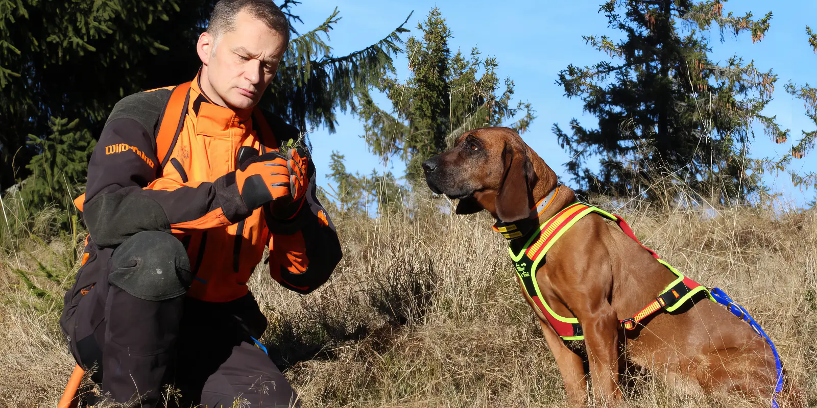 Niggeloh Follow Trail Hundegeschirr bei Nachsuche